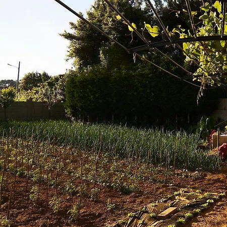 Casa Zulema Szálloda Sanxenxo
