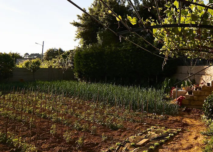 Casa Zulema 酒店 桑亨霍